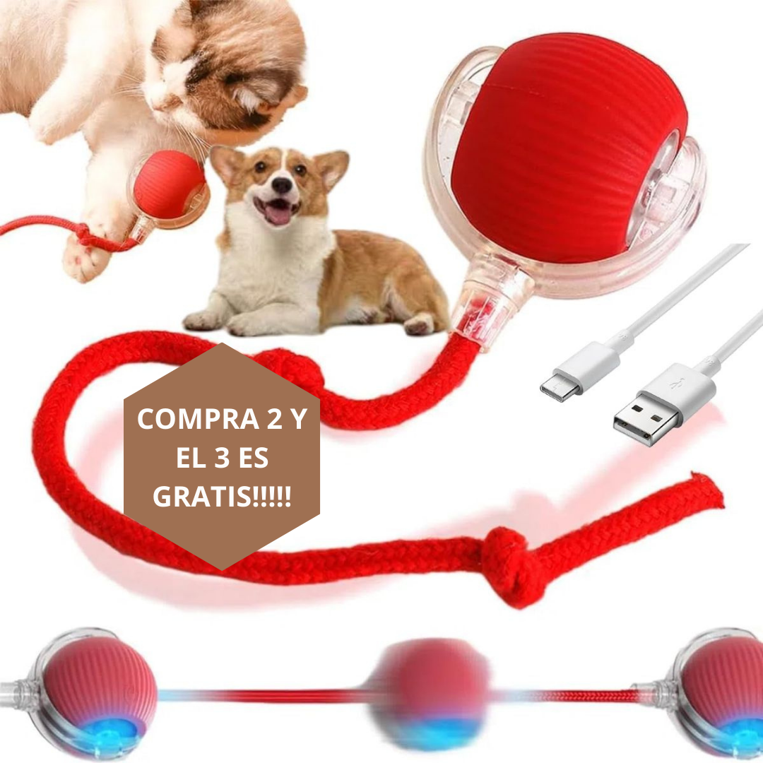 Pelota Loca Para Mascotas